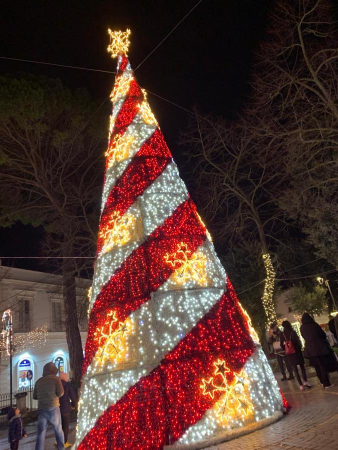 Impressioni In Valle D'Itria 马丁纳弗兰卡 外观 照片